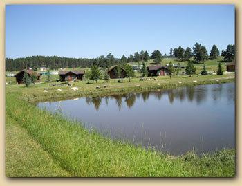 Gold Camp Cabins Custer Dış mekan fotoğraf